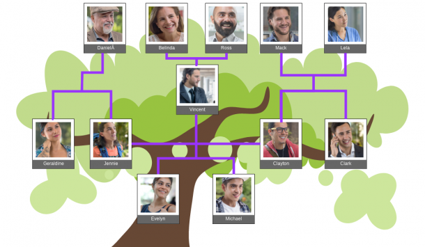 Organização de Fotos Digitais